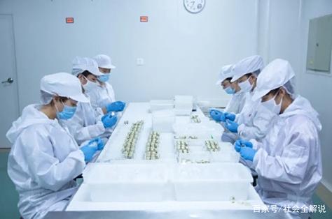 智能制造賦能海洋養生 同仁堂健康大連生產基地的高品質之道