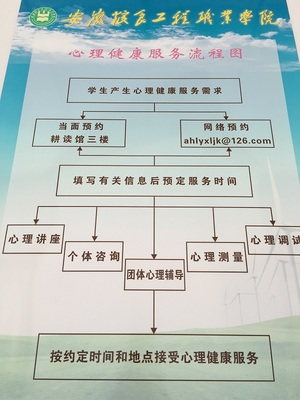 心理健康服務(wù)流程圖